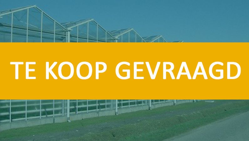 Potplantenkwekerij met rolcontainersysteem te koop gevraagd